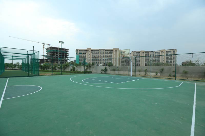 Basket Ball Half-Court